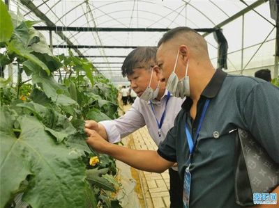2021年贵州省蔬菜种子种苗现场观摩会在贵阳开幕