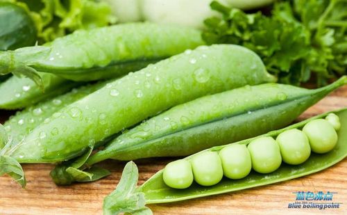 【健康】春天该吃这13种蔬菜,抗癌防癌,清燥养肝.